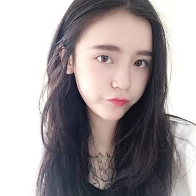 果盘宠物小精灵xy变态版下载
